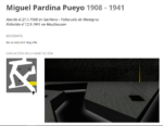 Miguel-Pardina-Pueyo